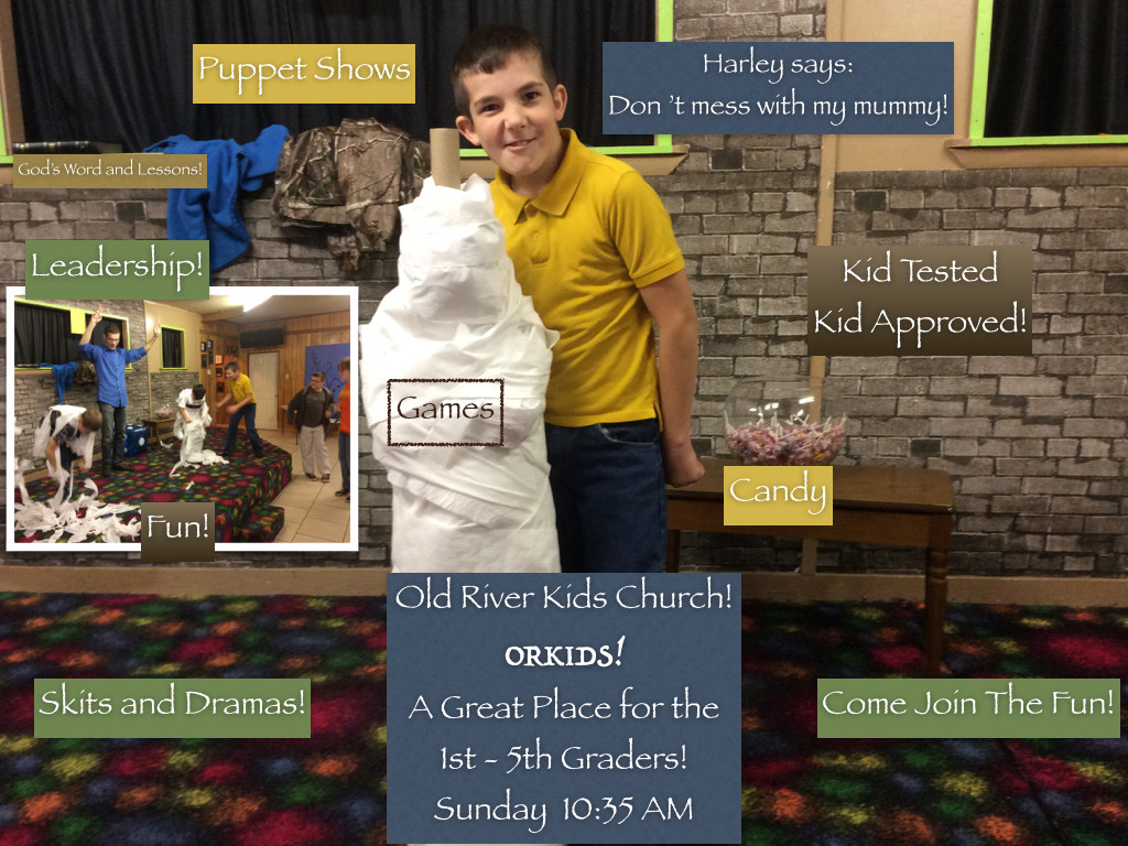 ORKIDS.001